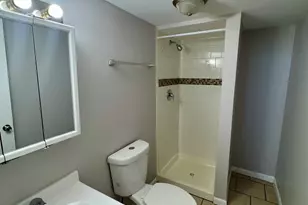 461 Clyde Ave, Calumet City, IL 60409 - Photo 19