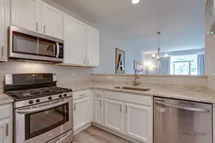 3124 Falling Waters Ln, Lindenhurst, IL 60046 - Photo 13