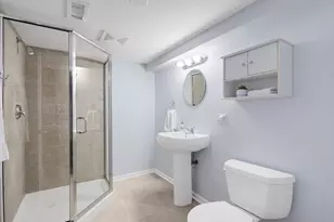 337 S Park Ave, La Grange, IL 60525 - Photo 37