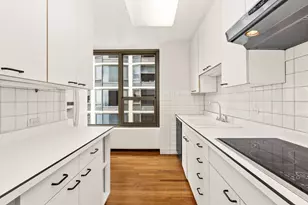 1550 N Lake Shore Dr, Chicago, IL 60610 - Photo 9