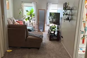 3241 S Parnell Ave, Chicago, IL 60616 - Photo 15