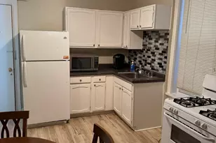 3241 S Parnell Ave, Chicago, IL 60616 - Photo 11
