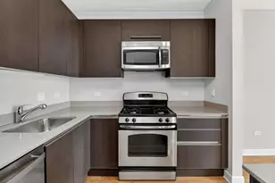 225 N Columbus Dr, Chicago, IL 60601 - Photo 9