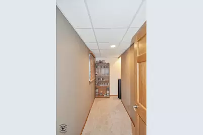 1541 Mallards Cove, Beecher, IL 60401 - Photo 23