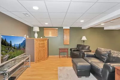 1541 Mallards Cove, Beecher, IL 60401 - Photo 19