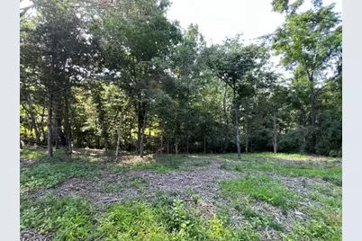 0000 Lakeshore Dr South, Orangeville, IL 62959 - Photo 11