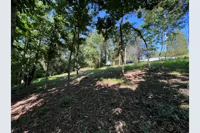0000 Lakeshore Dr South, Orangeville, IL 62959 - Photo 7
