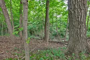 427 N Sheridan Rd, Lake Forest, IL 60045 - Photo 53