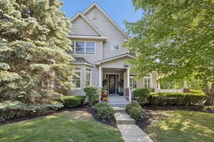 10187 Frankfort Main, Frankfort, IL 60423 - Photo 1