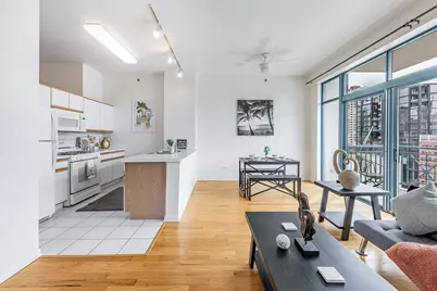 340 W Superior Street #1006, Chicago, IL 60654 - Photo 7
