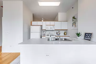 340 W Superior Street #1006, Chicago, IL 60654 - Photo 9