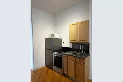20 E Goethe Street #504, Chicago, IL 60610 - Photo 3