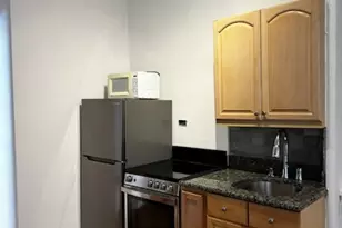 20 E Goethe St, Chicago, IL 60610 - Photo 3