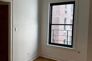 20 E Goethe St, Chicago, IL 60610 - Photo 5