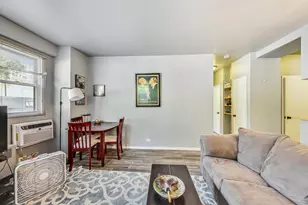 2909 N Sheridan Rd, Chicago, IL 60657 - Photo 13