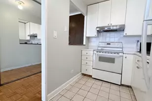 720 W Gordon Terrace, Chicago, IL 60613 - Photo 9