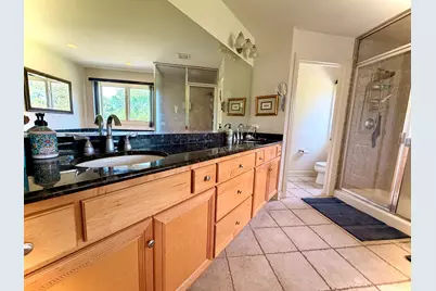 24409 W Park River Lane, Shorewood, IL 60404 - Photo 31