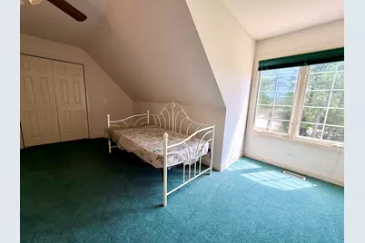24409 W Park River Lane, Shorewood, IL 60404 - Photo 37