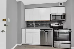 601 E 32nd St, Chicago, IL 60616 - Photo 9