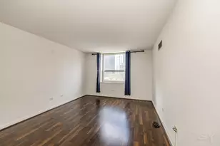 545 N Dearborn St, Chicago, IL 60654 - Photo 33