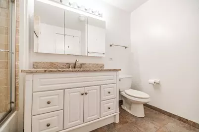 545 N Dearborn Street #W1409, Chicago, IL 60654 - Photo 29