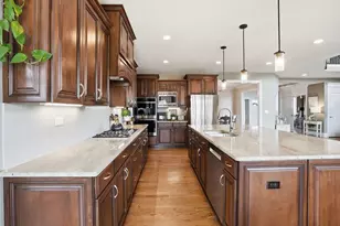 8743 Stone Creek Blvd, Frankfort, IL 60423 - Photo 15