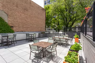 21 W Goethe Street #18GH, Chicago, IL 60610 - Photo 33