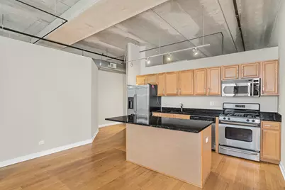 833 W 15th Place #303W, Chicago, IL 60608 - Photo 3