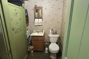108 S Gray St, Sidell, IL 61876 - Photo 61