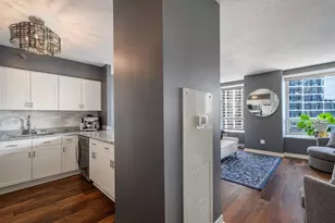 512 N McClurg Ct, Chicago, IL 60611 - Photo 9