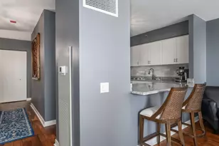 512 N McClurg Ct, Chicago, IL 60611 - Photo 7