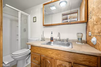 413 S May Street, Joliet, IL 60436 - Photo 13