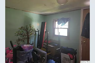 87 E 3rd Street, Dallas City, IL 62330 - Photo 7