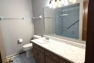 7554 W Willowood Ct, Orland Park, IL 60462 - Photo 13