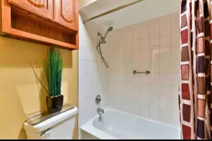 5113 N East River Rd, Chicago, IL 60656 - Photo 13