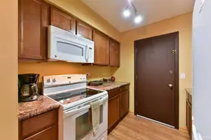 5113 N East River Rd, Chicago, IL 60656 - Photo 11