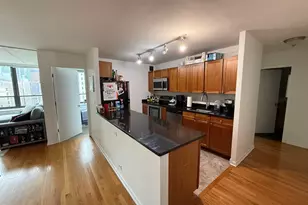 222 E Pearson St, Chicago, IL 60611 - Photo 5