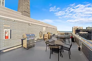 222 E Pearson St, Chicago, IL 60611 - Photo 13