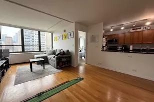 222 E Pearson St, Chicago, IL 60611 - Photo 3