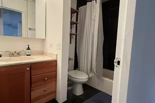 222 E Pearson St, Chicago, IL 60611 - Photo 9