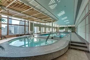 161 E Chicago Ave, Chicago, IL 60611 - Photo 13