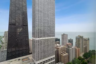 161 E Chicago Ave, Chicago, IL 60611 - Photo 15