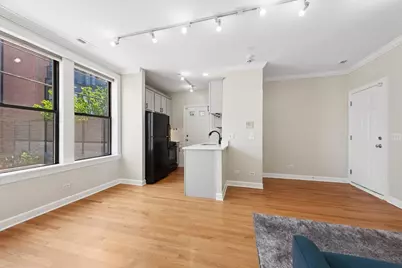 741 W Cornelia Avenue #N1, Chicago, IL 60657 - Photo 5