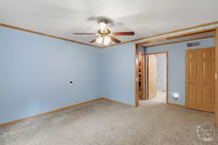 2701 E County Township Rd 121, Sheldon, IL 60966 - Photo 13