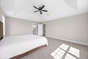 24051 S Williams Dr, Manhattan, IL 60442 - Photo 21