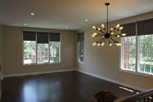 10705 Gigi Dr, Orland Park, IL 60462 - Photo 3