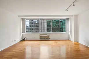 211 E Ohio St, Chicago, IL 60611 - Photo 5