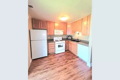 1294 Downing Street, Roselle, IL 60172 - Photo 17