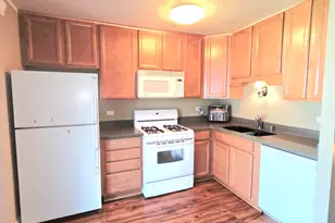 1294 Downing St, Roselle, IL 60172 - Photo 17
