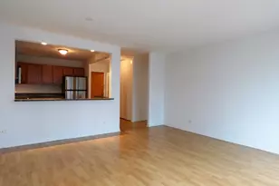 211 E Ohio St, Chicago, IL 60611 - Photo 7